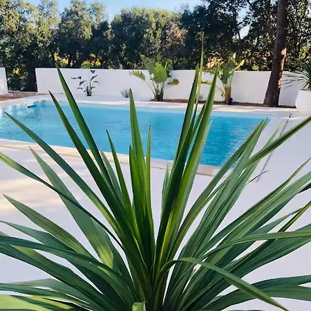 Grande Ste-maxime Au Calme Piscine Et Jardin * Sainte-Maxime