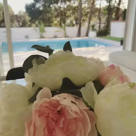 Villa Grande Ste-maxime Au Calme Piscine Et Jardin *